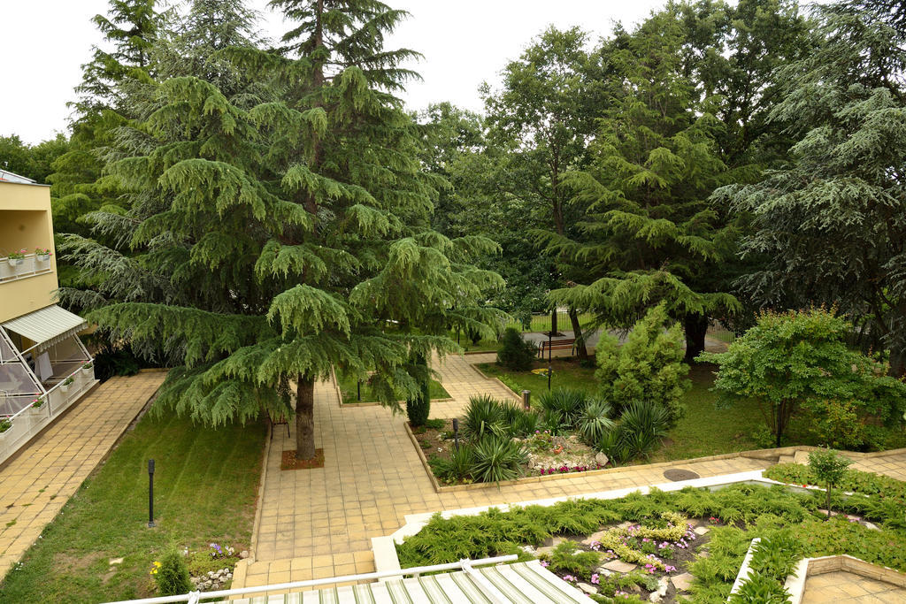 Glicinia Hotel Golden Sands Bagian luar foto